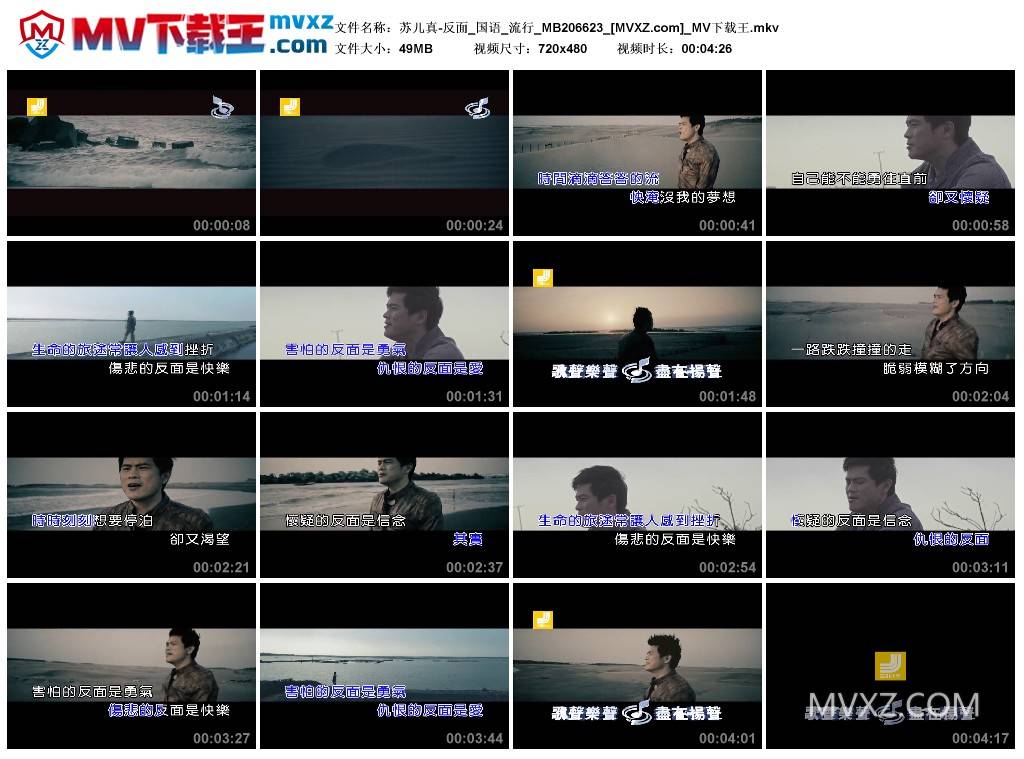 苏儿真-反面_国语_流行_MB206623